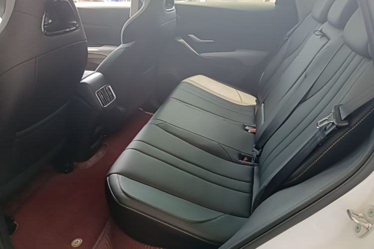 Used BYD Sealion 05 DM-i 2025 DM-i 115KM Prestige Model Left Rear Seat