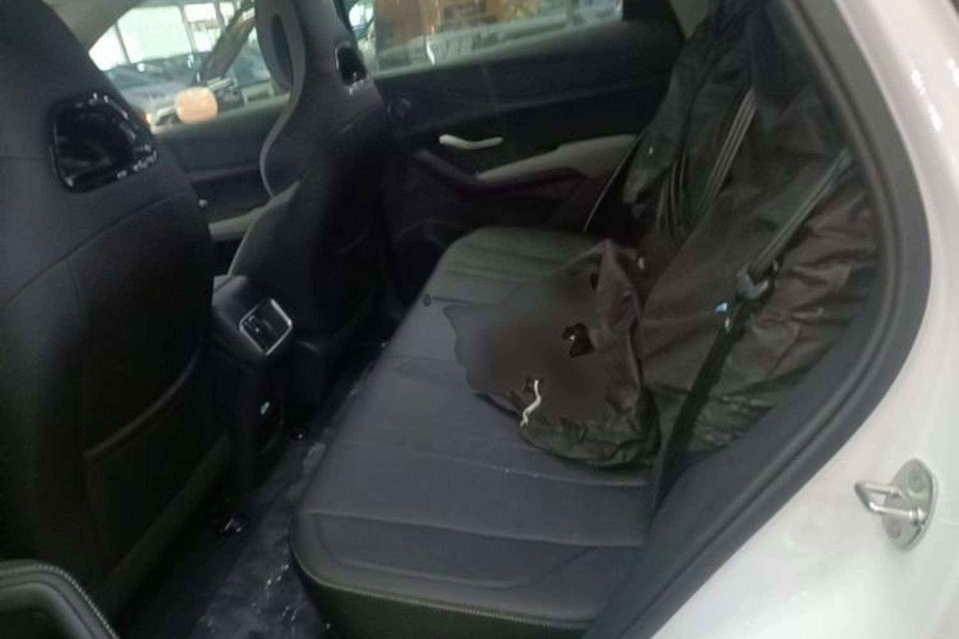 Used BYD Sealion 05 DM-i 2025 DM-i Intelligent Driving 75KM Prestige Model Left Rear Seat