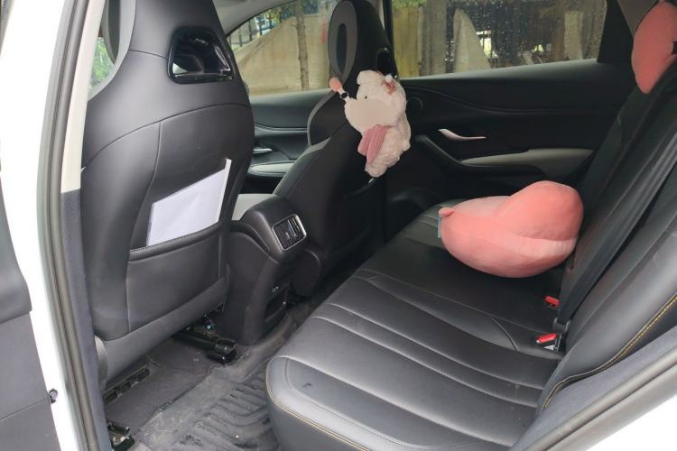 Used BYD Sealion 05 DM-i 2025 DM-i Smart Drive 75KM Luxury Model Left Rear Seat
