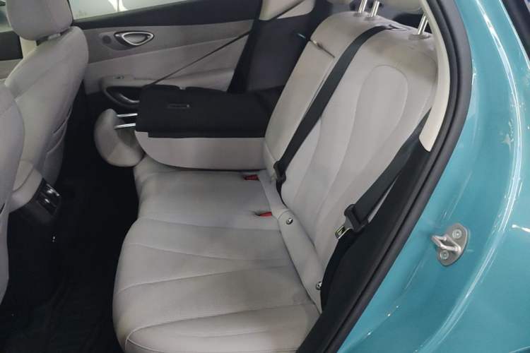 Used BYD Sealion 05 EV 2025 520 km Smart Cruise Version Left Rear Seat