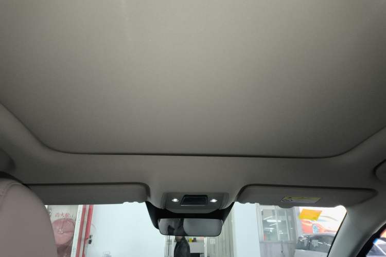 Used BYD Sealion 05 EV 2025 520 km Flagship SmartDrive Version Headliner
