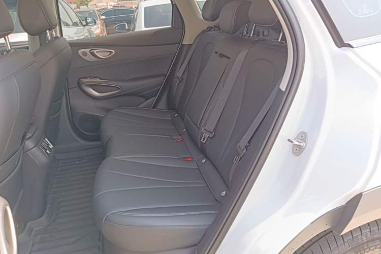 Used BYD Sealion 05 EV 2025 520 km Smart Cruise Version Left Rear Seat