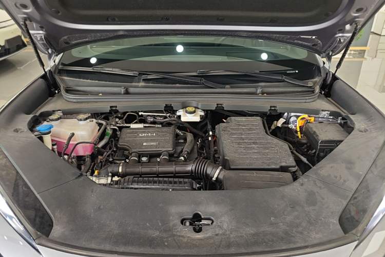 Used BYD Sealion 06 New Energy 2025 Model DM-i 170 Navigation Plus Edition Engine Bay
