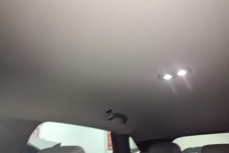 Used BYD Sealion 06 New Energy 2025 DM-i High-Trim Model Headliner