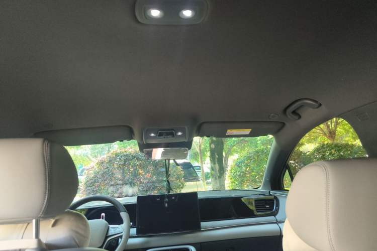 Used BYD Sealion 06 New Energy 2025 DM-i High-Trim Model Headliner