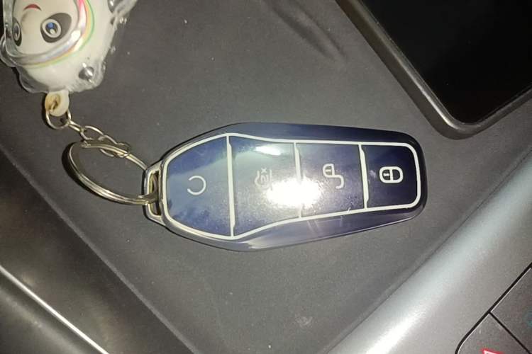 Used BYD Sealion 06 New Energy 2025 DM-i High-Trim Model Interior 1