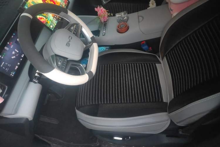 Used BYD Sealion 06 New Energy 2025 Model DM-i 170 Navigation Pro Edition Left Front Seat