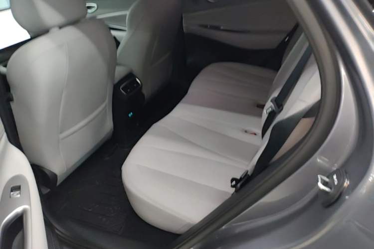 Used BYD Sealion 06 New Energy 2025 Model DM-i 170 Navigation Pro Edition Left Rear Seat