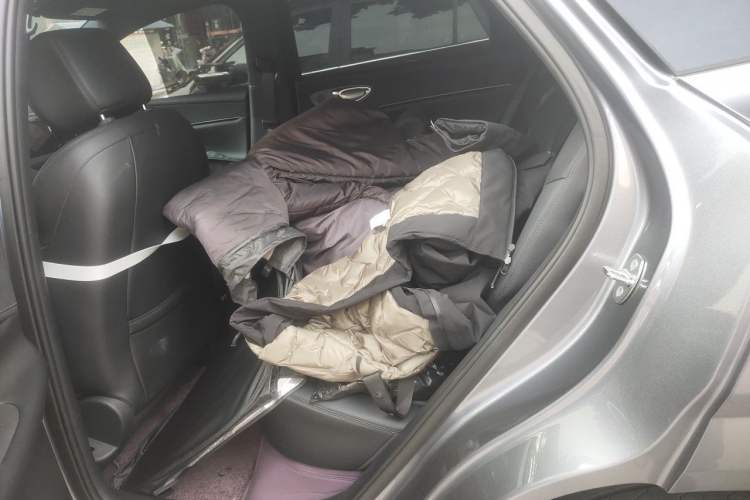 Used BYD Sealion 06 New Energy 2025 Model DM-i 170 Navigation Pro Edition Left Rear Seat