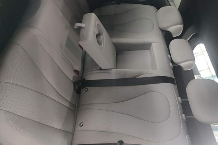 Used BYD Sealion 06 New Energy 2025 Model EV 605 Navigation Pro Edition Left Rear Seat