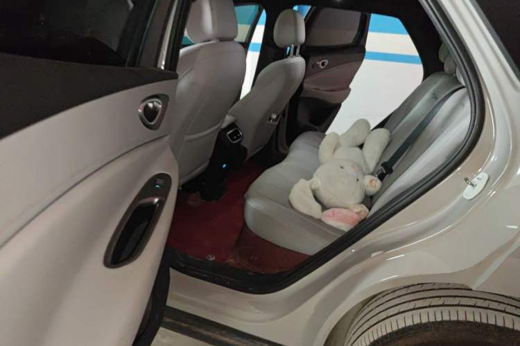 Used BYD Sealion 06 New Energy 2025 Model EV 605 Navigation Pro Edition Left Rear Seat