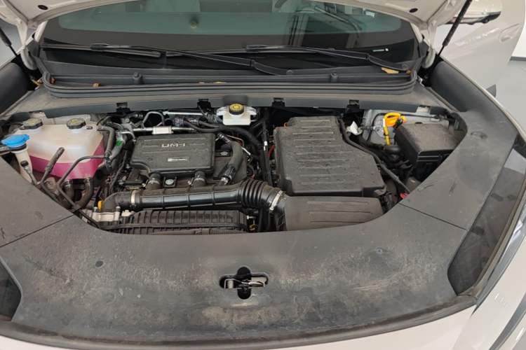 Used BYD Sealion 06 New Energy 2025 Model DM-i 170 Navigation Plus Edition Engine Bay