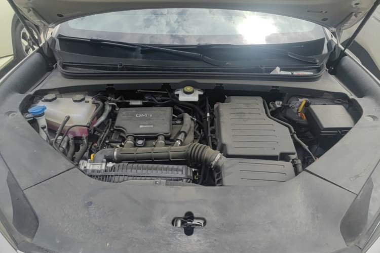 Used BYD Sealion 06 New Energy 2025 Model DM-i 170 Navigation Pro Edition Engine Bay