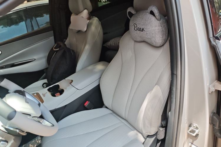 Used BYD Sealion 06 New Energy 2025 Model DM-i 170 Navigation Pro Edition Left Front Seat