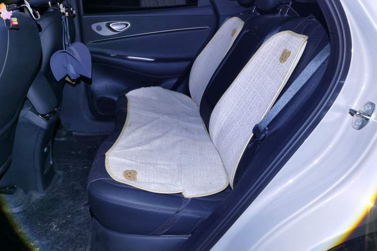 Used BYD Sealion 06 New Energy 2025 Model EV 605 Navigation Pro Edition Left Rear Seat