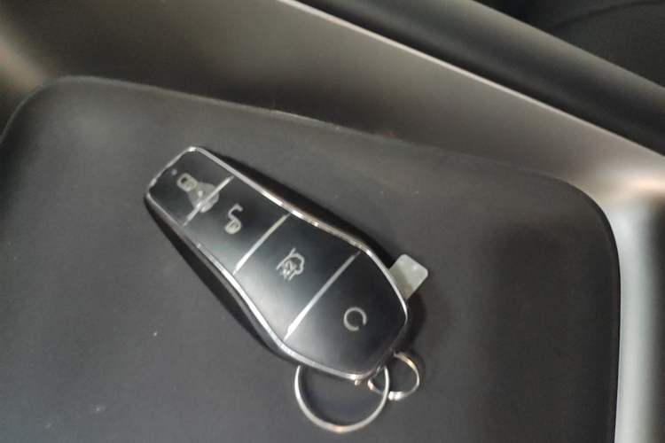 Used BYD Sealion 06 New Energy 2025 Model DM-i 170 Navigation Plus Edition Vehicle Key