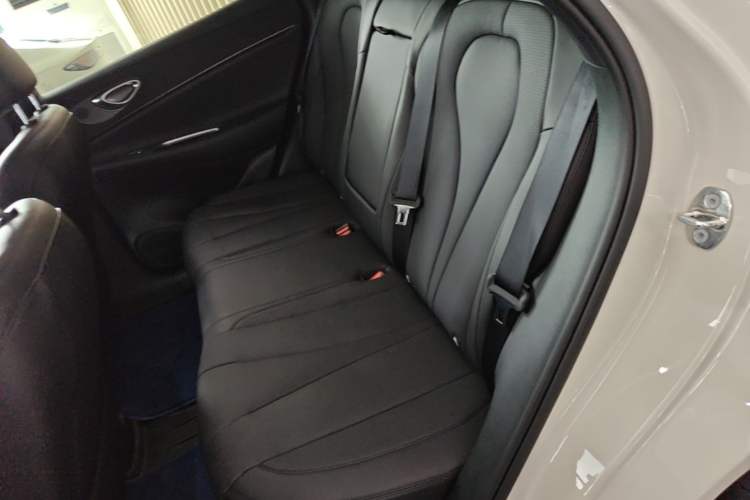 Used BYD Sealion 06 New Energy 2025 Model DM-i 170 Navigation Pro Edition Left Rear Seat