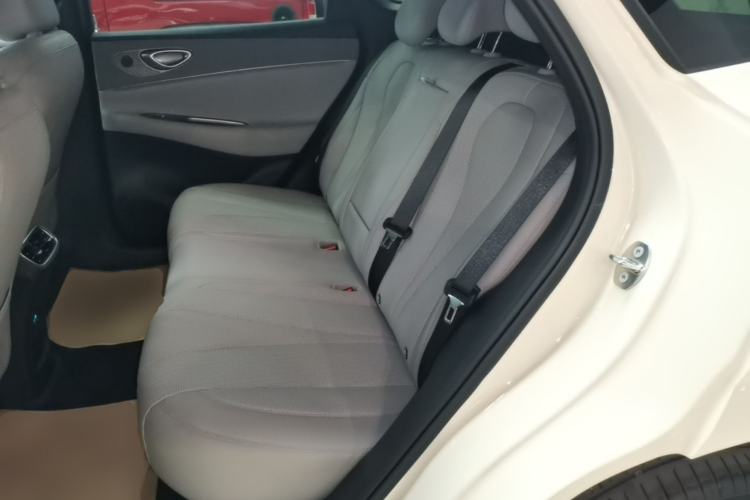 Used BYD Sealion 06 New Energy 2025 Model DM-i 170 Navigation Pro Edition Left Rear Seat