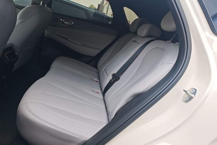 Used BYD Sealion 06 New Energy 2025 Model DM-i 170 Navigation Pro Edition Left Rear Seat