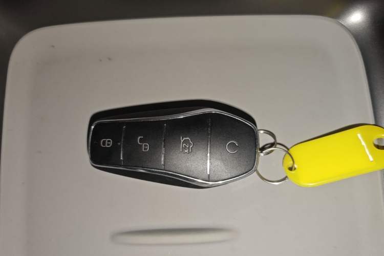 Used BYD Sealion 06 New Energy 2025 Model DM-i 170 Navigation Plus Edition Vehicle Key