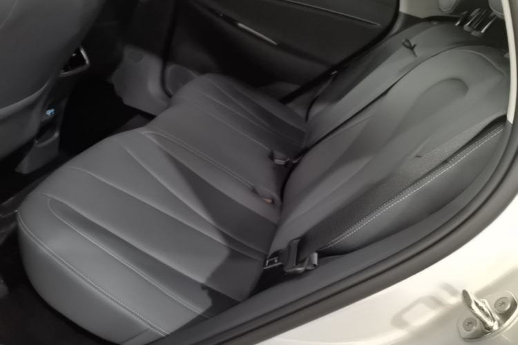 Used BYD Sealion 06 New Energy 2026 EV 710 Long-Range Edition Left Rear Seat
