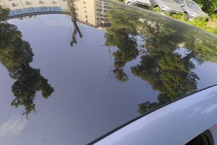 Used BYD Sealion 07 EV 2024 610 Long-Range Version Roof