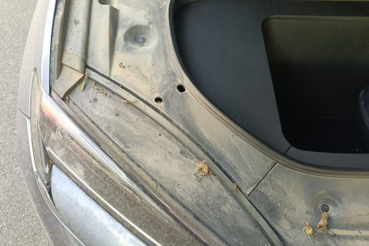 Used BYD Sealion 07 EV 2024 610 Long-Range Version Engine Bay Right
