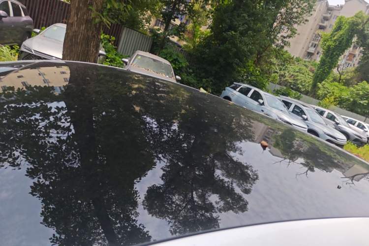 Used BYD Sealion 07 EV 2024 550 Standard Edition Roof