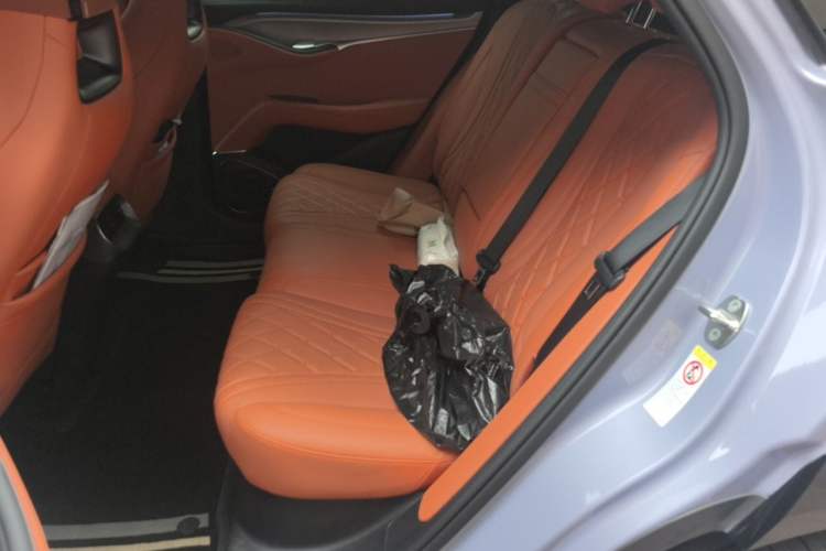 Used BYD Sealion 07 EV 2025 610 Zhihang Edition Left Rear Seat