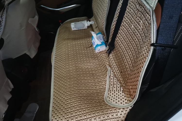 Used BYD Song 2016 2.0TID Automatic Prestige Edition Left Rear Seat