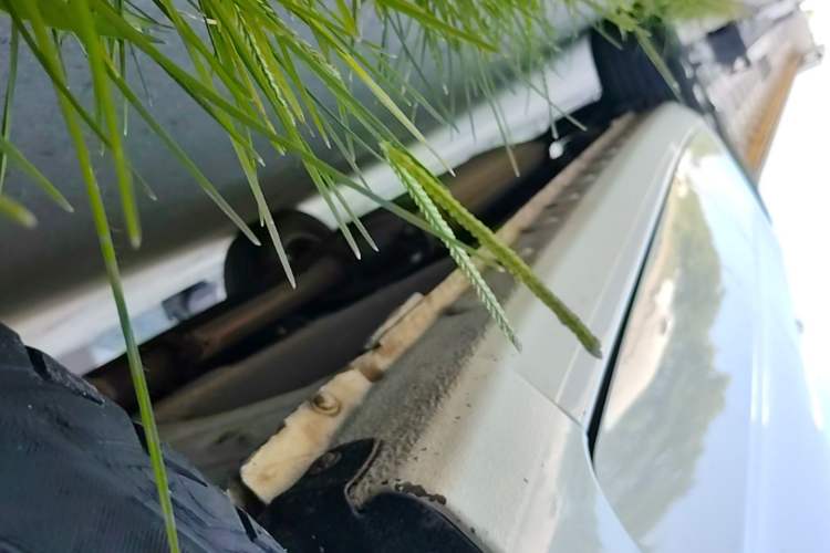 Used BYD Song 2016 GaiShi Edition 1.5TI Manual Elite Model Right Side Sill