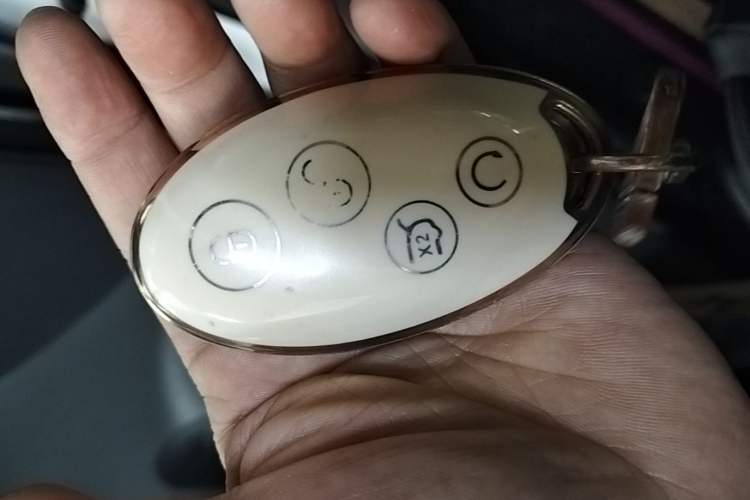 Used BYD Song 2018 1.5TID Automatic Smart Connect Prestige Model Vehicle Key