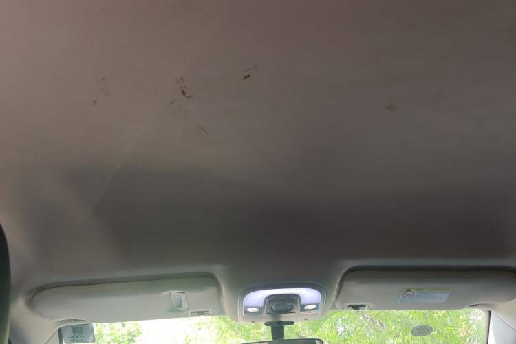 Used BYD Song 2019 1.5TI Automatic Smart Connect Dynamic Model Headliner