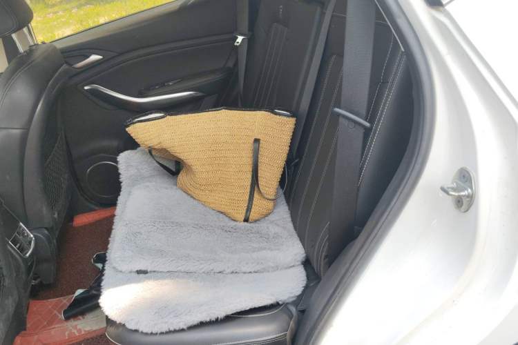 Used BYD Song 2019 1.5TI Automatic Smart Connect Dynamic Model Left Rear Seat