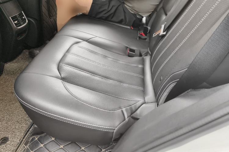 Used BYD Song 2019 1.5TI Automatic Smart Connect Luxe Version Left Rear Seat