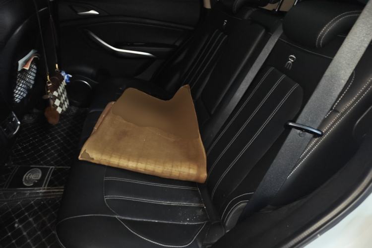 Used BYD Song 2019 1.5TI Automatic Smart Connect Dynamic Model Left Rear Seat