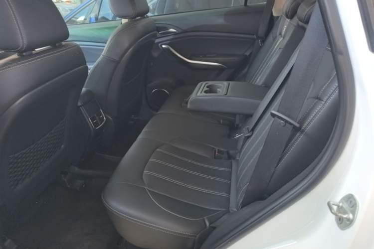 Used BYD Song 2019 1.5TI Automatic Smart Connect Luxe Version Left Rear Seat