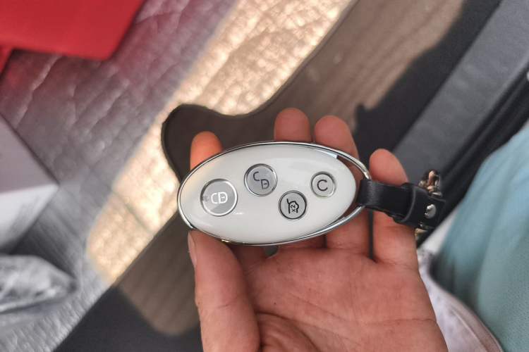 Used BYD Song 2019 1.5TI Manual Smart Connect Enhanced Model Vehicle Key