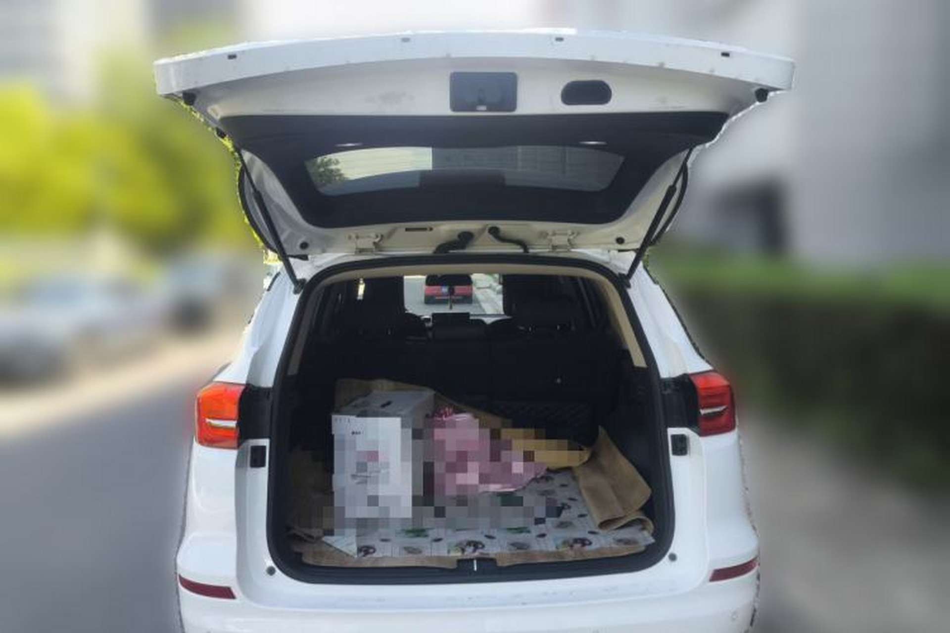 Used BYD Song 2020 Classic Edition 1.5T Automatic Elite Model Trunk