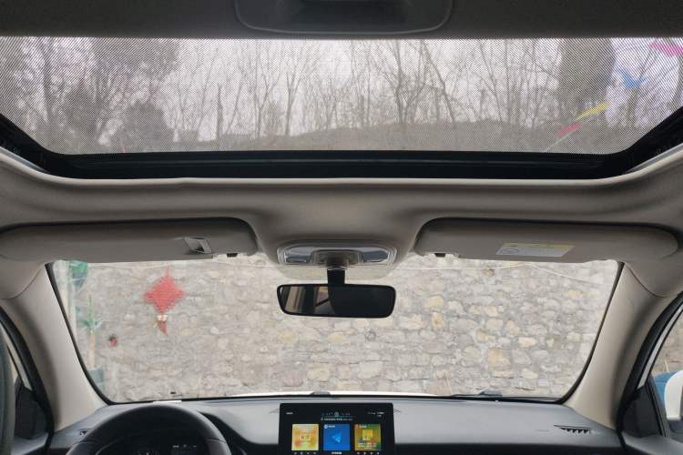 Used BYD Song 2021 Classic Edition 1.5T Automatic Luxury Model Headliner