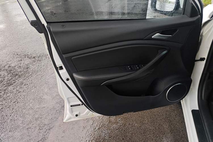 Used BYD Song 2021 Classic Edition 1.5T Automatic Elite Model Left Front Door Interior