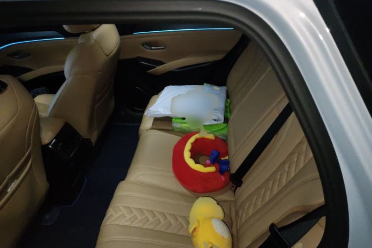 Used BYD Song L DM-i 2024 112 km Beyond Edition Left Rear Seat