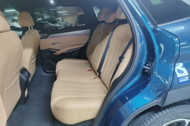 Used BYD Song L DM-i 2024 112 km Beyond Edition Left Rear Seat