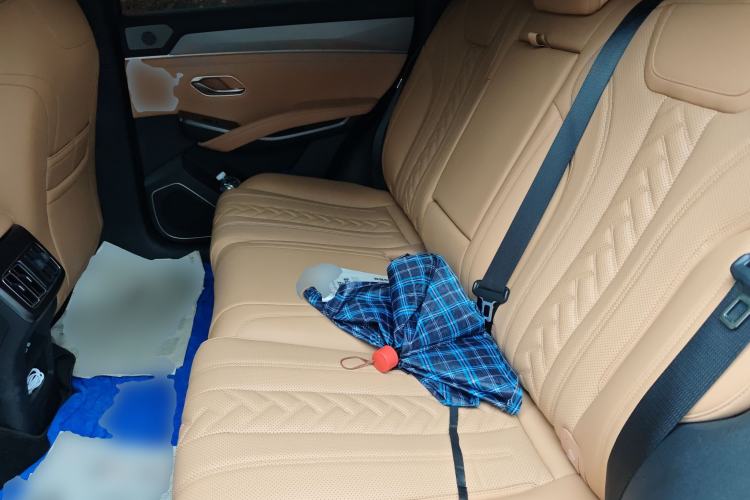 Used BYD Song L DM-i 2024 112 km Beyond Edition Left Rear Seat