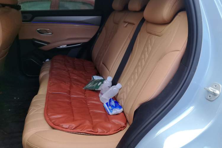 Used BYD Song L DM-i 2024 112 km Beyond Edition Left Rear Seat