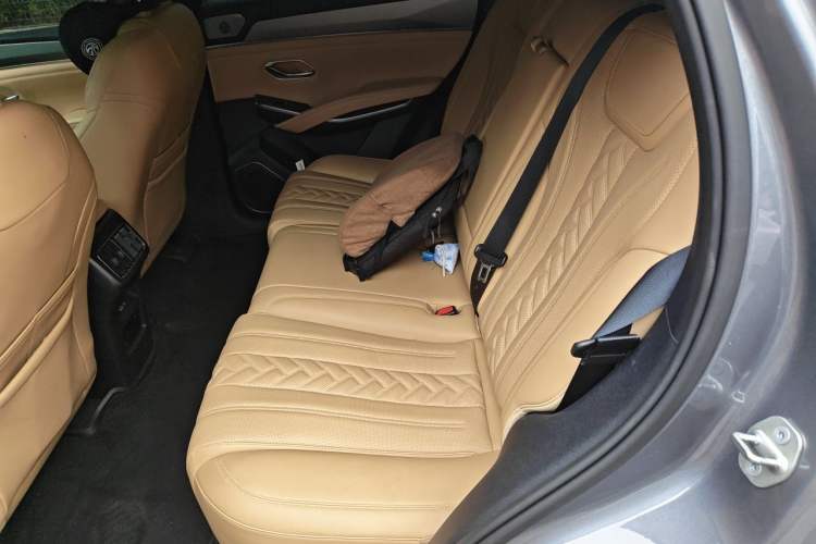 Used BYD Song L DM-i 2024 160 km Excellence Version Left Rear Seat