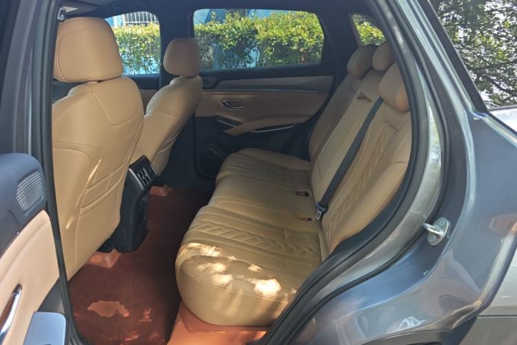 Used BYD Song L DM-i 2024 112 km Beyond Edition Left Rear Seat
