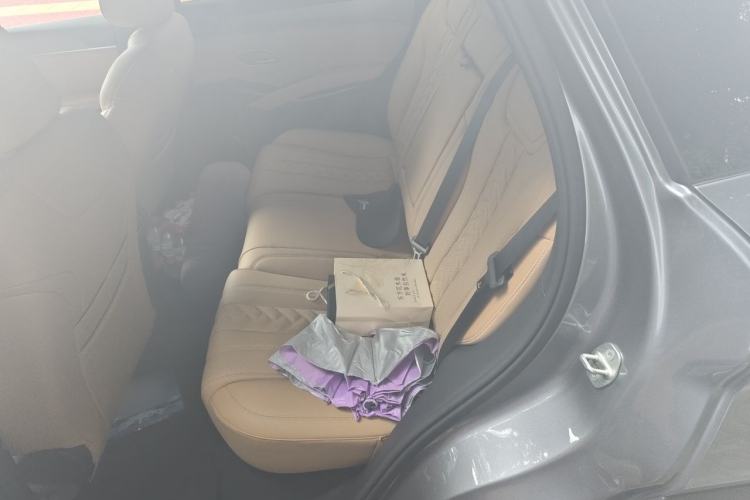 Used BYD Song L DM-i 2024 160km Beyond Edition Left Rear Seat