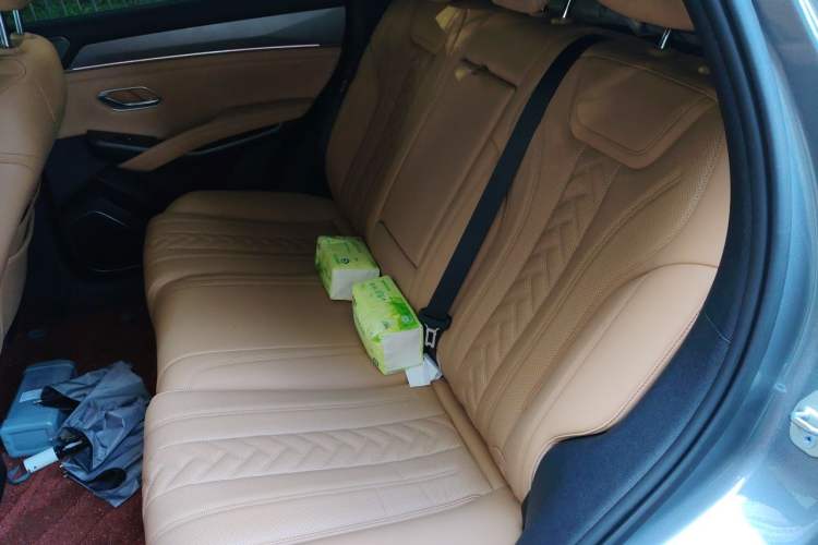 Used BYD Song L DM-i 2024 160 km Excellence Version Left Rear Seat