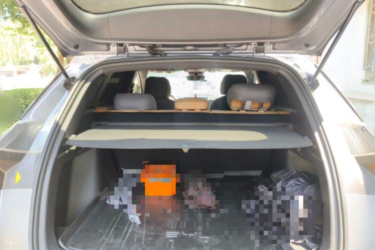 Used BYD Song L DM-i 2024 112 km Leading Edition Trunk